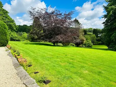 a green field with a bench in a park at Moorswater Lodge Country House with Wine Bar in Liskeard