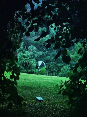 a green field with a kite in the grass at Moorswater Lodge Country House with Wine Bar in Liskeard
