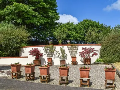 a group of chairs and potted plants in a yard at Skiber Spar in Davidstow