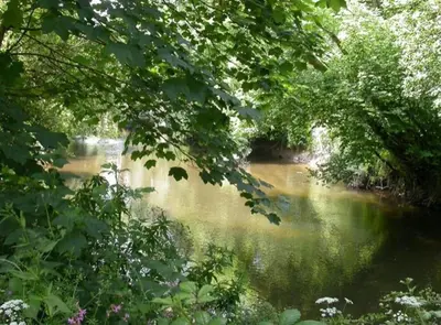 a view of a river through the trees at Apartment in lovely village in Newquay