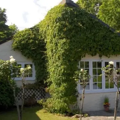 Apartment in lovely village