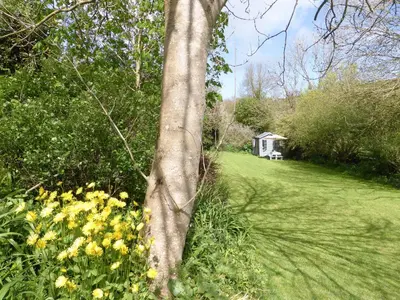 a tree in the middle of a garden with yellow flowers at Grain Store 1 - 29635 in Portloe