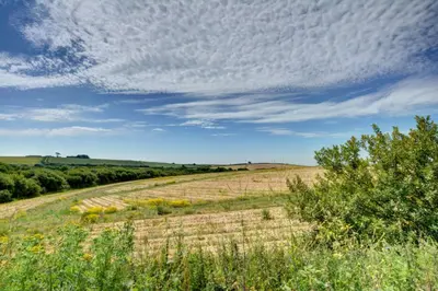 a field of hay under a cloudy sky at The Glades - Retallack in Saint Columb Major