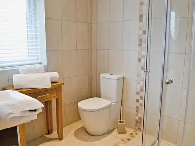 a bathroom with a toilet and a shower at Sea Vista in Port Isaac