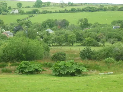 a green field with trees and houses in the distance at HOPSLAND HOLIDAYS Byre, Dairy & Hayloft in Saint Cleer
