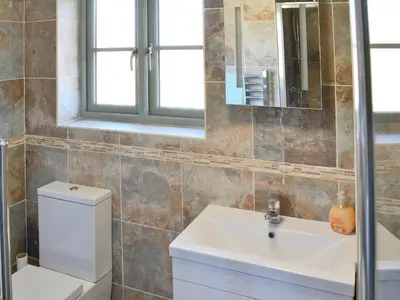 a bathroom with a toilet and a sink and a mirror at Little Owl Lodge in Saint Columb Major