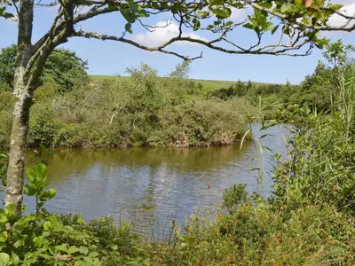 a view of a river with trees and bushes at Little Owl Lodge in Saint Columb Major