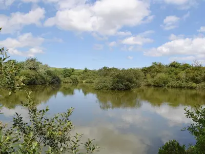 a body of water with trees and clouds in the sky at Little Owl Lodge in Saint Columb Major