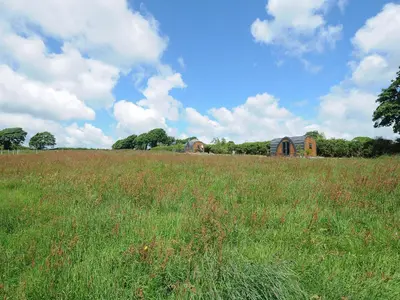 a field of tall grass with a building in the background at Rowan in Launceston