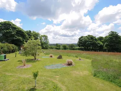 a field with trees and plants in the grass at Hornbeam in Launceston