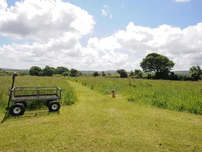 a field with a wagon in the middle of a field at Hornbeam in Launceston