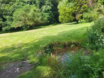 a field with a pond in the grass at Bumbeldink in Uny Lelant
