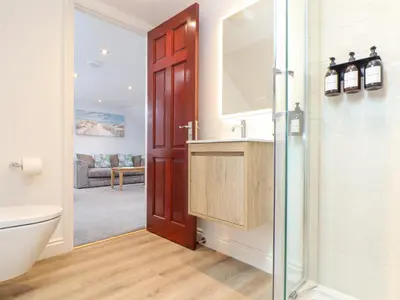 a bathroom with a shower and a sink and a toilet at Squirrels Leap in Falmouth