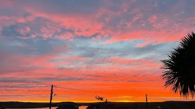 a sunset with a palm tree in the foreground at Tidal Heights in Padstow