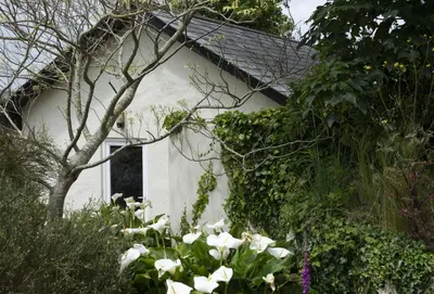a white house with flowers in front of it at The Wood Shed in Perranporth