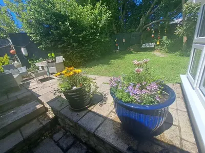 three large pots of flowers on a patio at Willow Bungalow Quiet and secluded in Carbis Bay