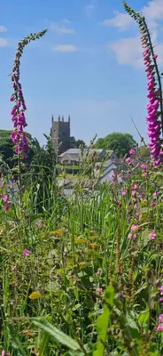a field of flowers with a castle in the background at Jubilee Inn in Looe
