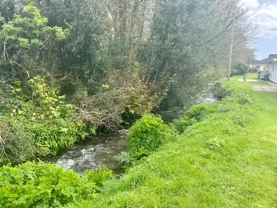 a stream of water next to a field with trees at Rosecraddoc Lodge 23 in Liskeard