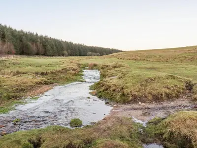 a stream in the middle of a field at Villa 18 Lanteglos Holiday Park in Camelford
