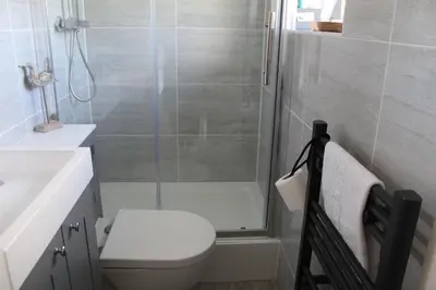 a bathroom with a shower and a toilet and a sink at Apartment 19 in Downderry