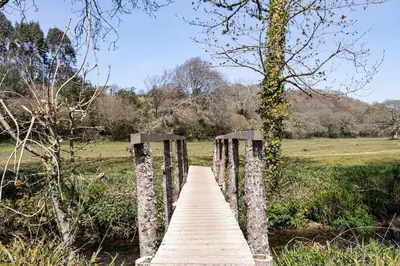 a wooden bridge over a stream in a field at Cosy Couples Getaway - The Nook, set in 6 acres of private grounds in Truro