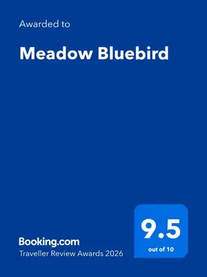 a screenshot of the meadow blubbert website at Meadow Bluebird in Bodmin
