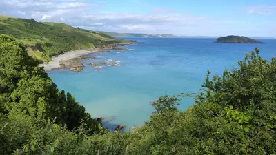 a view of a body of water with trees at Driftwood in Looe River view and parking in Looe