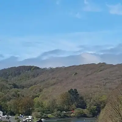 Driftwood in Looe River view and parking