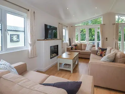 a living room with two couches and a fireplace at 43 The Maples in St Austell
