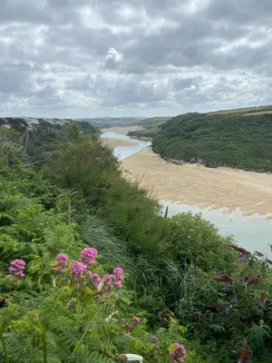 a view of a beach and a river with pink flowers at Newquay Fistral Holiday home with hot tub in Newquay