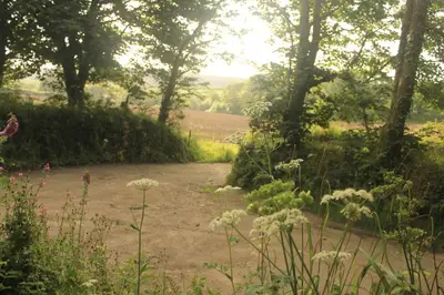 a dirt path in a field with trees and flowers at Tranquil Cornish Heritage Retreat in Falmouth