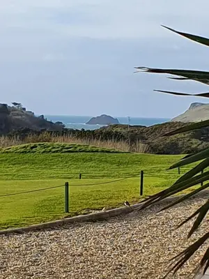 a grassy field with a fence on the side of a road at Gardenia Cottage Cornwall in Wadebridge