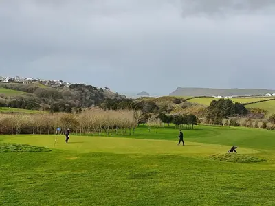 a group of people playing golf on a green field at Gardenia Cottage Cornwall in Wadebridge