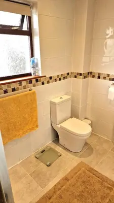 a bathroom with a white toilet and a window at Wadebridge, 14 St Matthews Hill in Wadebridge