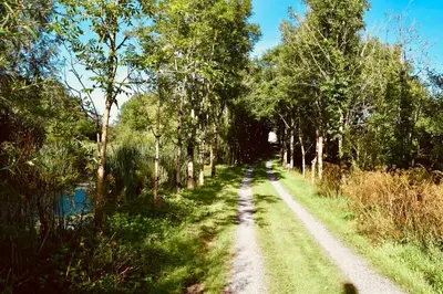 a dirt road with trees on the side of a river at The Old Wood Store in Helston