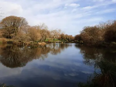 a view of a river with trees and the water at Holiday Home with a Hot tub in St Austell
