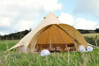 a yellow tent in a field of tall grass at Tylda Tents at Tregonetha Lake - 5m Luxury Bell Tent 