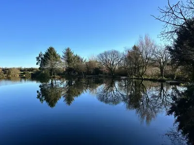 a view of a lake with trees and the water at Tylda Tents at Tregonetha Lake - 5m Luxury Bell Tent 