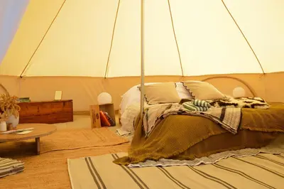 a dog laying on a bed in a tent at Tylda Tents at Heydaze Campsite - 5m Luxury Bell Tent 