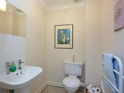 a bathroom with a white toilet and a sink at Gull Cottage in Falmouth