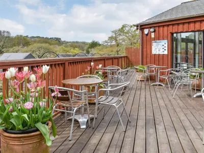 a deck with tables and chairs and flowers at Gull Cottage in Falmouth