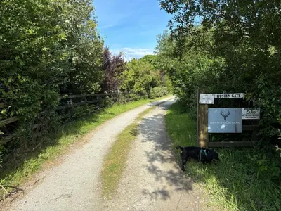 a black dog standing on a dirt road at The Stables at Hustyn Gate in Wadebridge