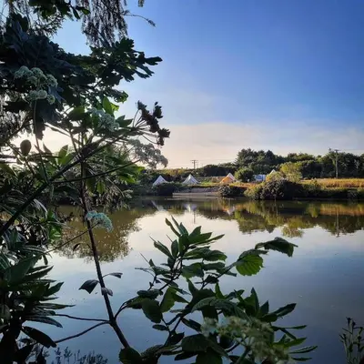 a view of a body of water with trees at Lakeside Glamping Kingfisher in Saint Columb Major