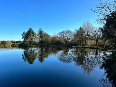a view of a lake with trees and a blue sky at Lakeside Glamping Kingfisher in Saint Columb Major