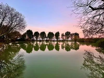 a lake with trees in the middle of it at Lakeside Glamping Kingfisher in Saint Columb Major