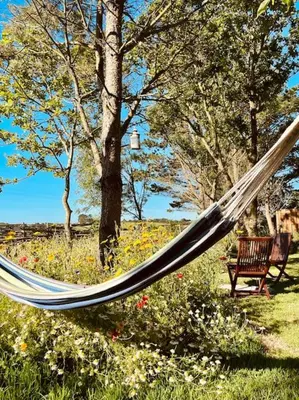 a hammock in a park with a bench and flowers at The Field Room - Hut on The Lizard in Helston
