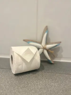 a roll of toilet paper and a starfish on a counter at 30 Bredon Court at Fistral Beach Newquay in Newquay