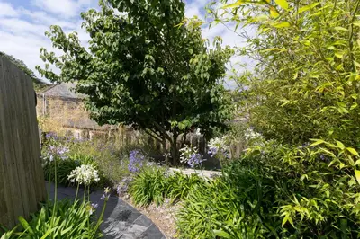 a garden with a tree and purple flowers at Prospect House in Padstow