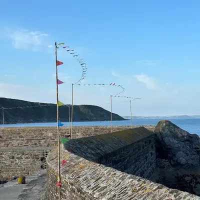 a group of flags on a beach with the ocean at Seaforth - Fisherman's Cottage in Gorran Haven
