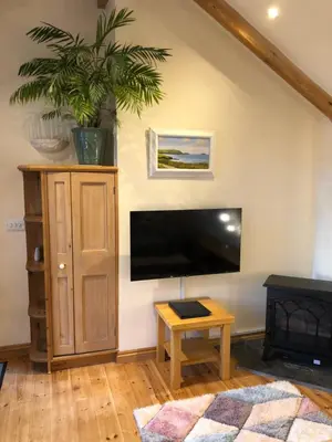 a living room with a flat screen tv and a plant at The Nook in Padstow